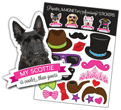 Scottie thumbnail