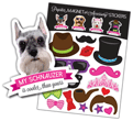 Schnauzer thumbnail