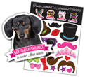 Dachshund (black) thumbnail