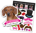 Dachshund thumbnail