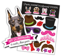 Doberman thumbnail