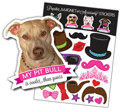Pit Bull (tan) thumbnail