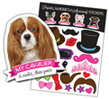 Cavalier thumbnail