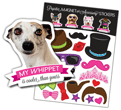 Whippet thumbnail