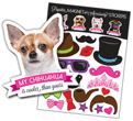 Chihuahua thumbnail