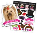 Yorkie thumbnail