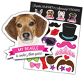 Beagle thumbnail