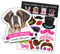 Saint Bernard thumbnail
