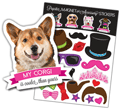 Corgi thumbnail