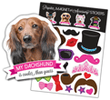 Dachshund (longhaired) thumbnail