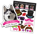 Husky thumbnail