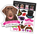 Labrador (chocolate) thumbnail