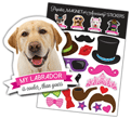 Labrador (yellow) thumbnail