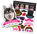 Malamute thumbnail