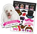 Poodle thumbnail