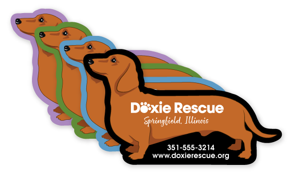 Dachshund thumbnail