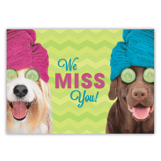 Large Dogs in Towels thumbnail