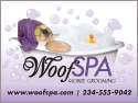 Spa Dog - purple fade thumbnail