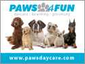 Dog Group thumbnail