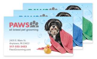 Dog in Towel thumbnail