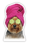 Yorkie (pink towel) thumbnail
