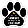 My cat lets me sleep in the bed thumbnail