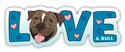 LOVE (Brindle Pit Bull) thumbnail