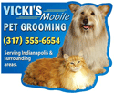 Fluffy Cat and Dog thumbnail
