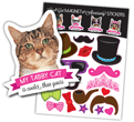 Tabby Cat thumbnail