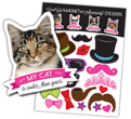 Cat thumbnail