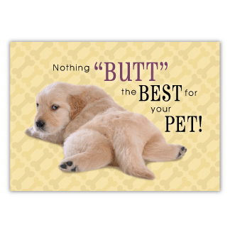 Nothing BUTT the best... thumbnail