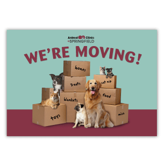 Moving Boxes thumbnail