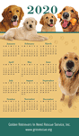 Golden Retriever thumbnail