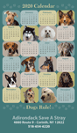 Dogs Rule (green) thumbnail