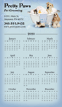 Dogs and Cats in Tub thumbnail