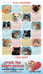 Cats Rule thumbnail