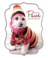 Fancy Border (Winter White Dog) thumbnail