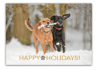 Dogs playing in snow thumbnail