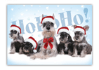 Santa Schnauzers thumbnail