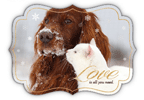 Fancy Border (Winter Kisses) thumbnail