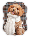 Plaid Pup thumbnail