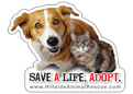 Dog and Cat Plea thumbnail
