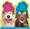 Large Spa Dogs thumbnail