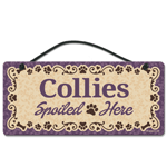 Collies thumbnail