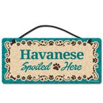 Havanese thumbnail