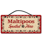 Maltipoos thumbnail
