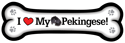 Pekingese thumbnail
