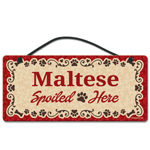 Maltese thumbnail