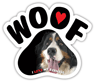 Bernese thumbnail