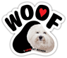 Bichon thumbnail